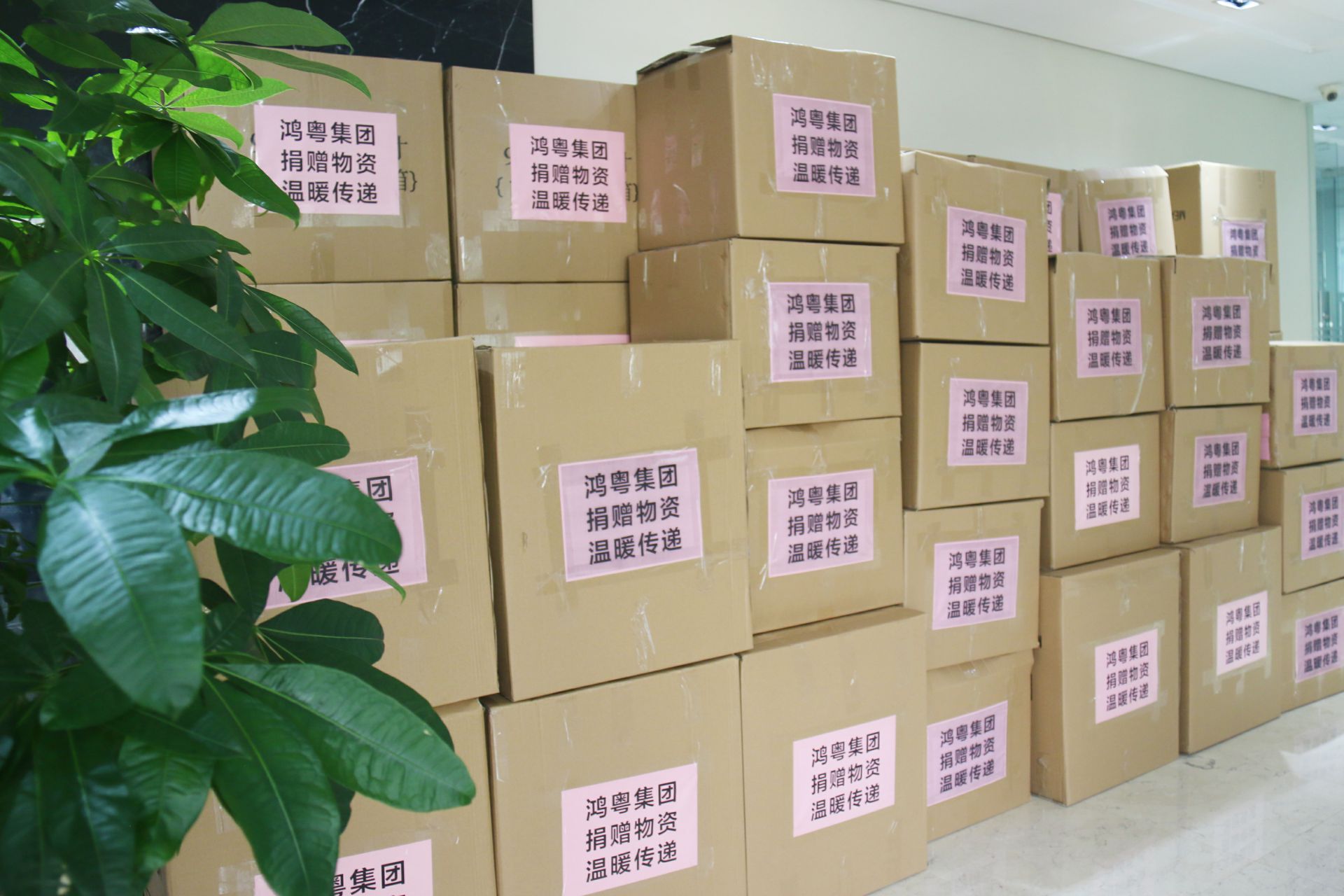 九游·官方J9站网站入口-Jiuyou j9(中国)公益回顾丨家国同欢月同圆 温暖满载甘孜州(图1)